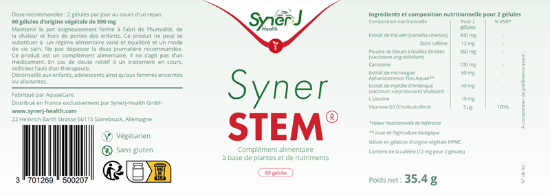 SynerSTEM 